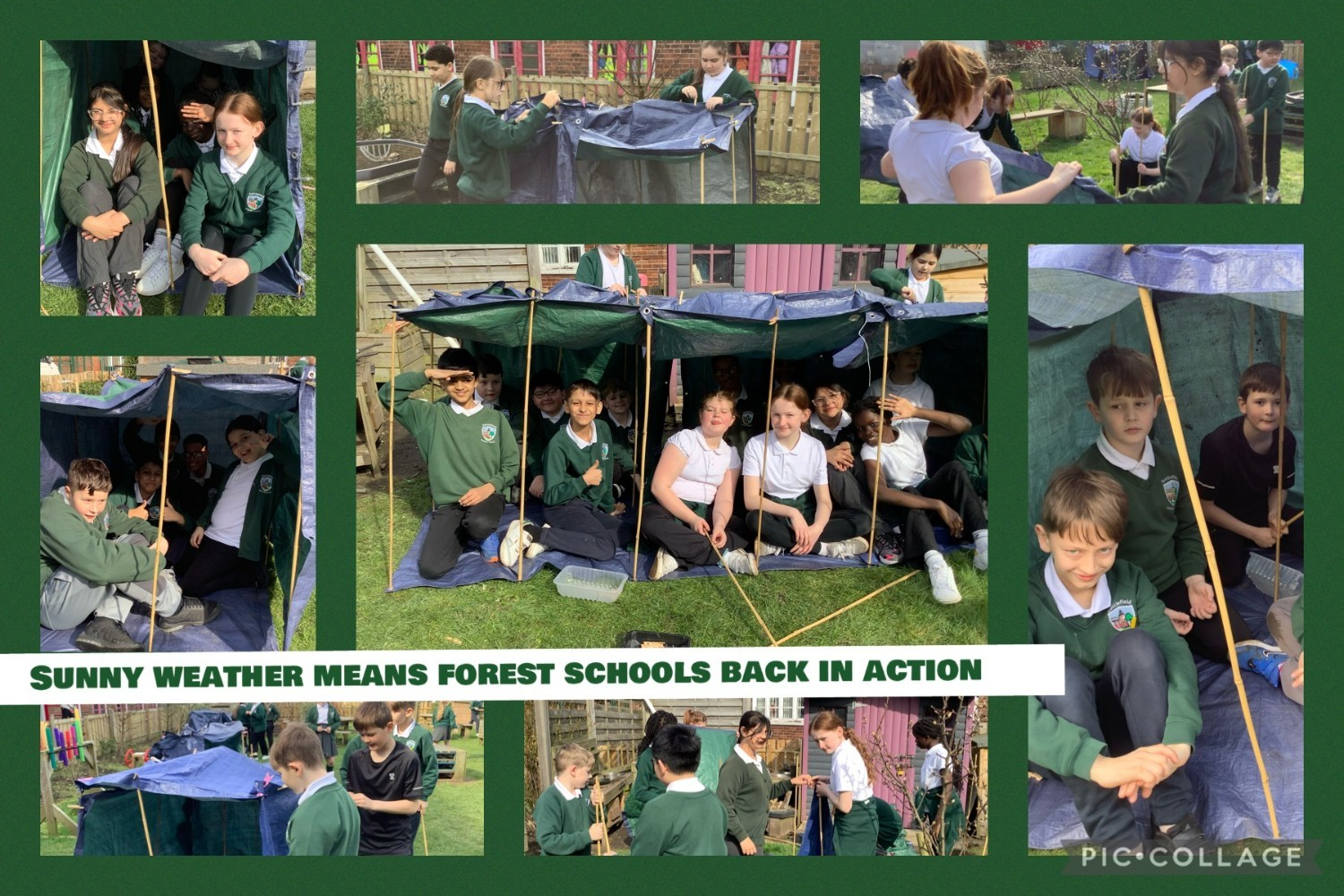 P6 Forest Schools